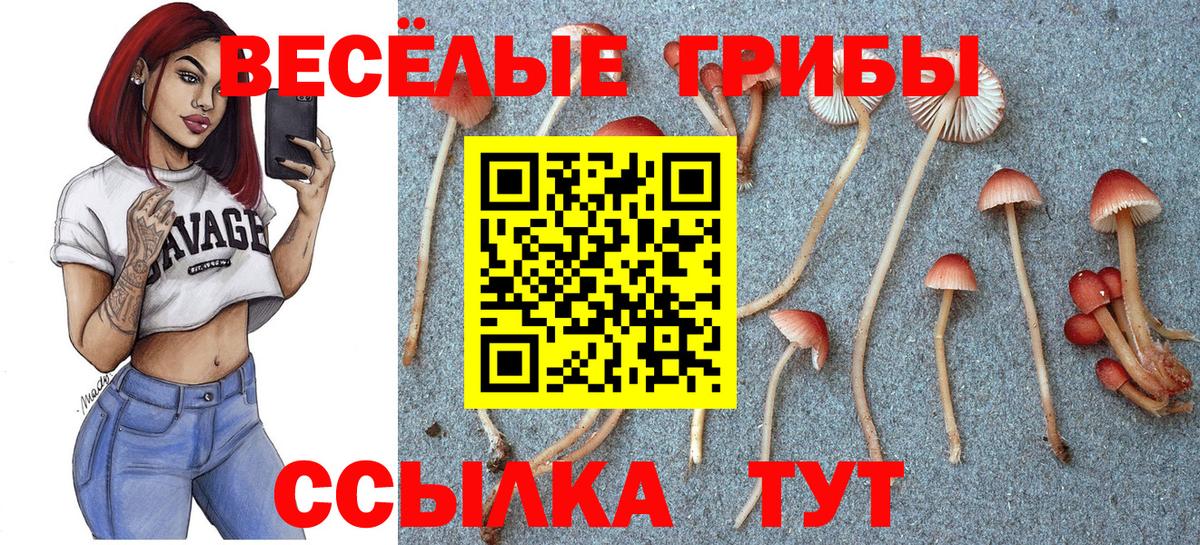 Альфа ПВП Гатчина